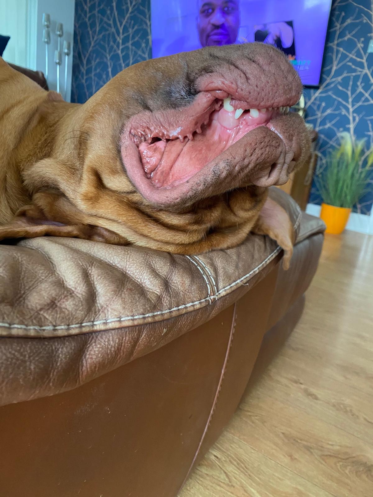 Nala